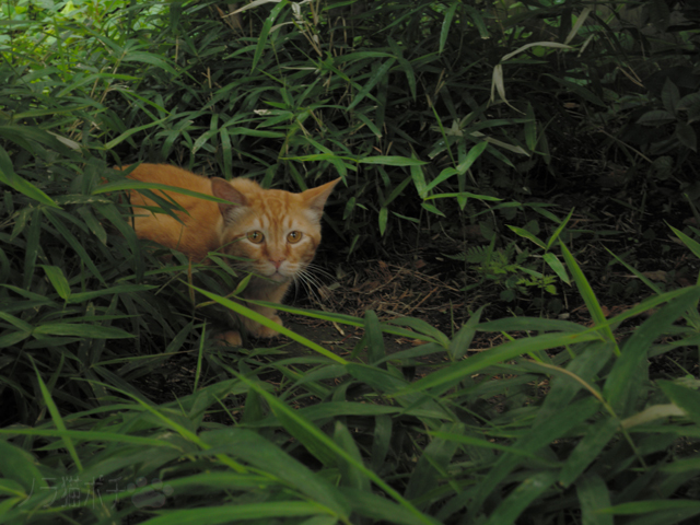 DSCN7831.jpg