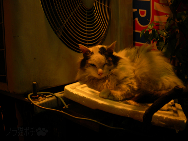 DSCN7836.jpg