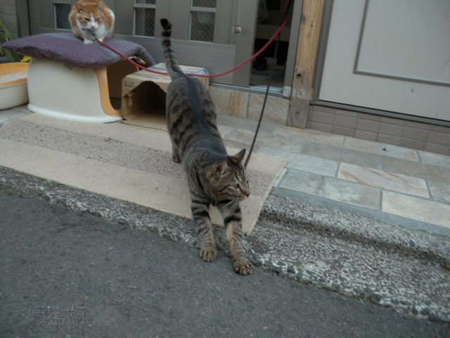 DSCN7880.jpg