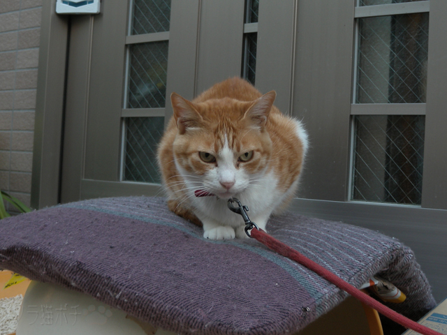 DSCN7882.jpg