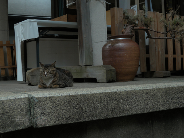 DSCN7909.jpg