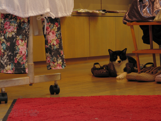 DSCN7974.jpg