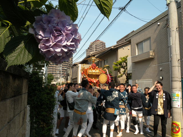 DSCN8452.jpg