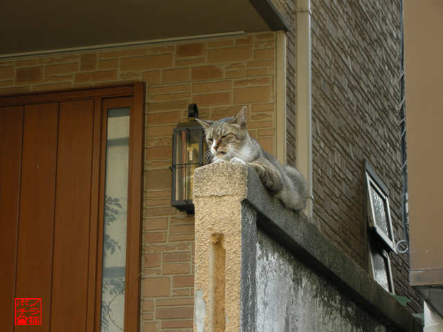 DSCN8465.jpg