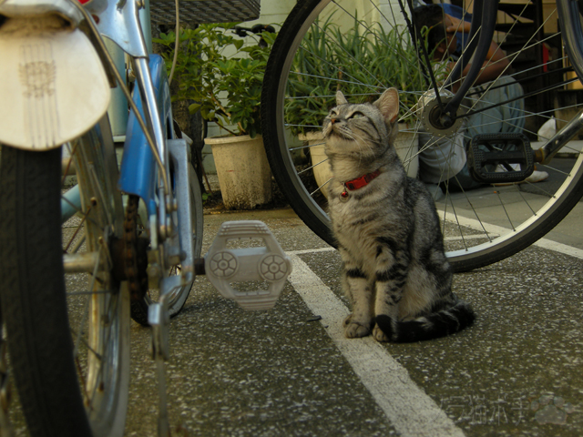DSCN8684.jpg