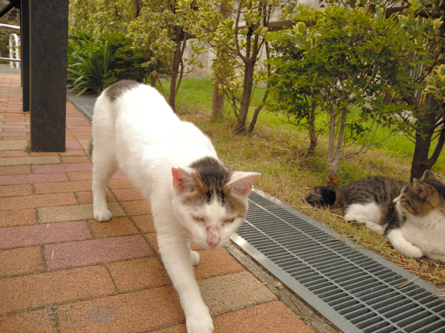 DSCN9020.jpg