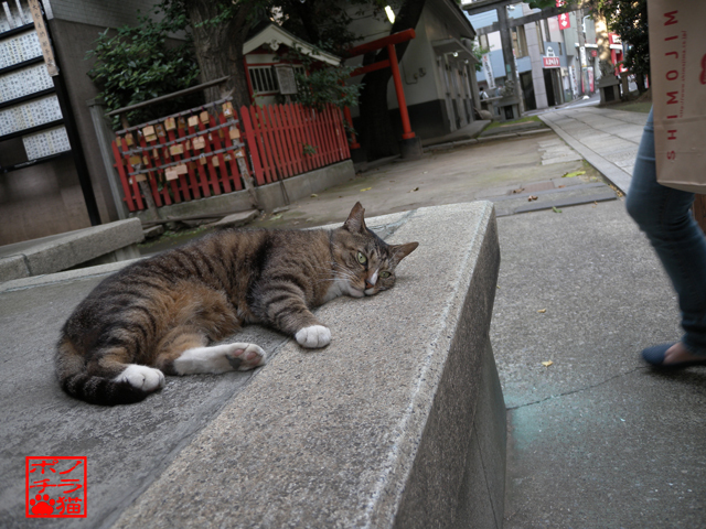 DSCN9227.jpg