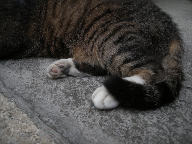 DSCN9242.jpg