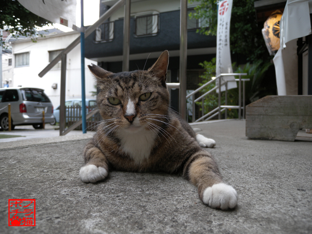 DSCN9246.jpg