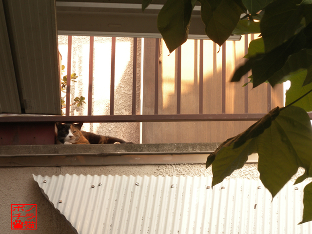 DSCN9260.jpg