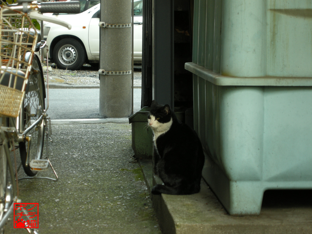 DSCN9263.jpg