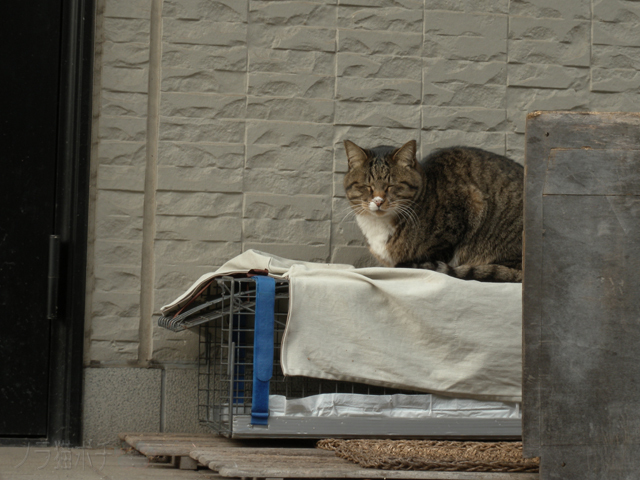 DSCN9263.jpg