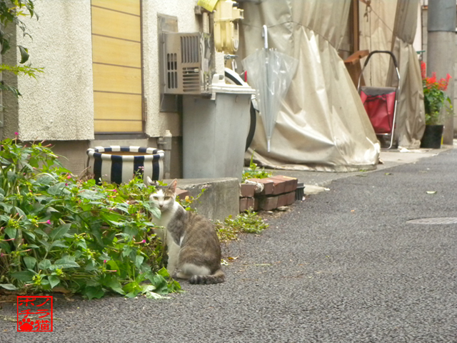 DSCN9265.jpg