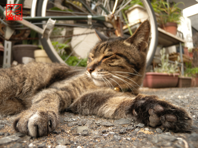 DSCN9268.jpg