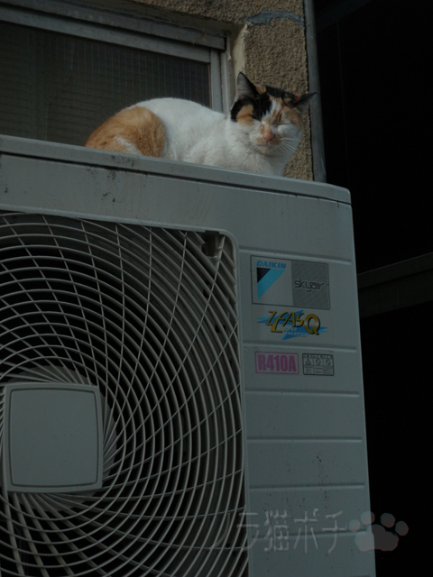 DSCN9270.jpg