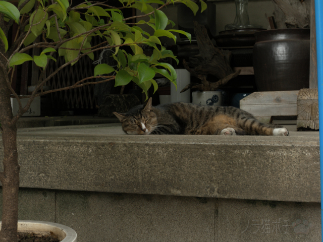 DSCN9272.jpg