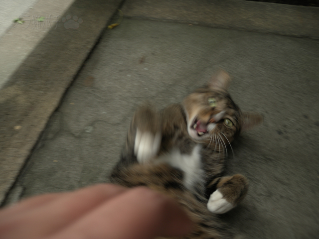 DSCN9278.jpg