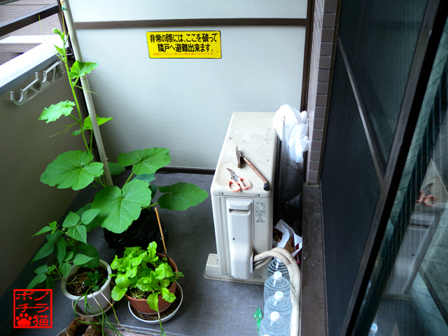 DSCN9280.jpg