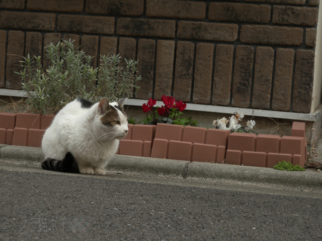 DSCN9283.jpg