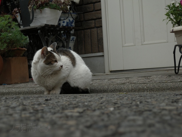 DSCN9284.jpg