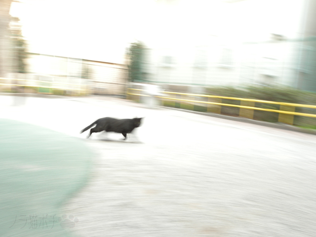 DSCN9286のコピー.jpg