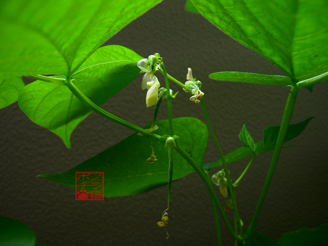 DSCN9289.jpg
