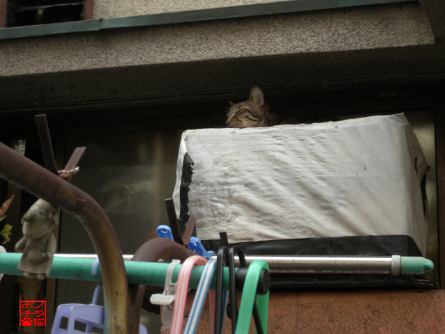 DSCN9291.jpg