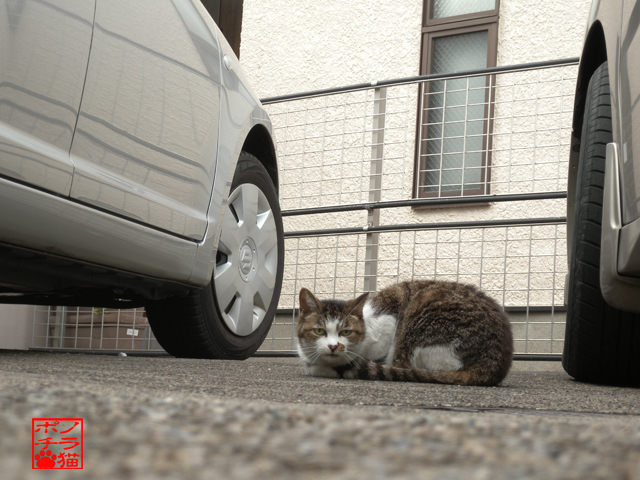 DSCN9298.jpg
