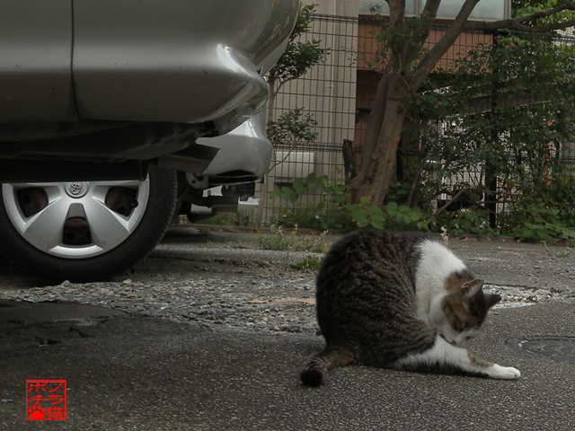 DSCN9301.jpg