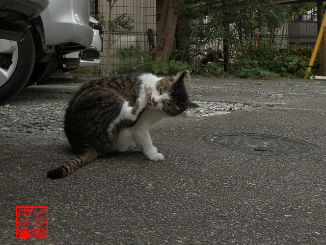 DSCN9302.jpg