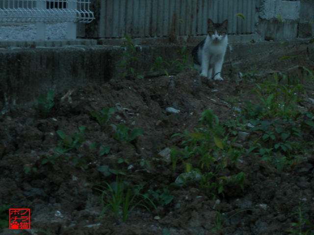 DSCN9304.jpg