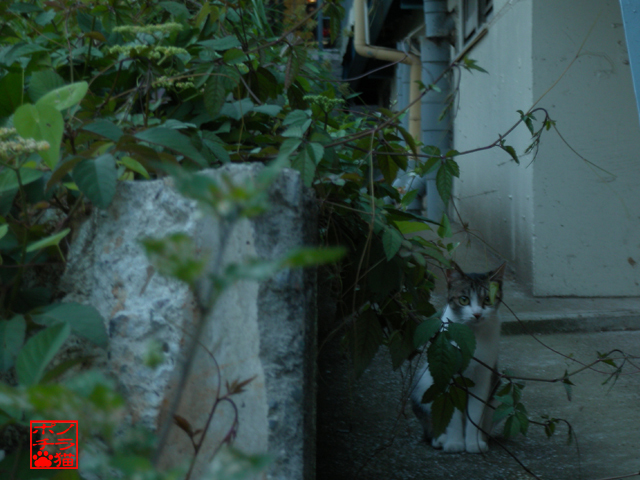 DSCN9306.jpg