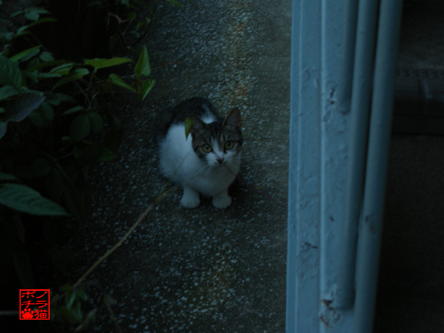 DSCN9309.jpg