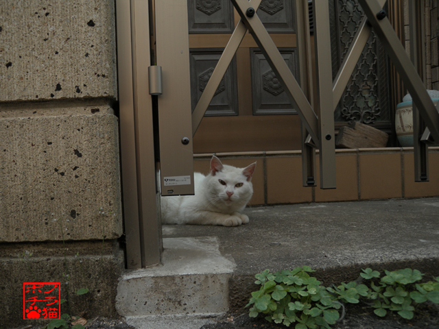 DSCN9311.jpg