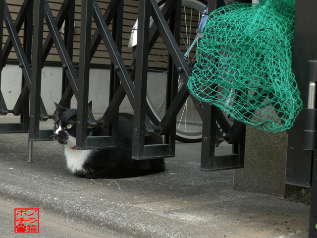 DSCN9313.jpg