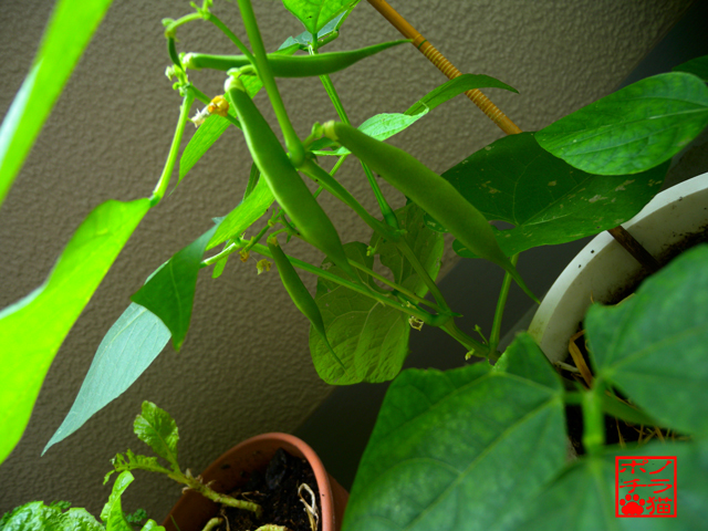 DSCN9319_2.jpg