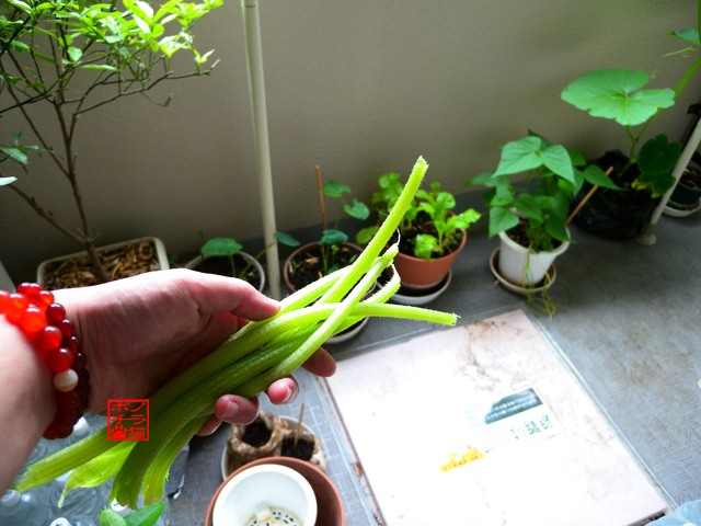 DSCN9322.jpg