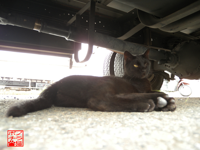 DSCN9335.jpg