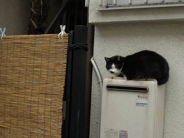 DSCN9342.jpg
