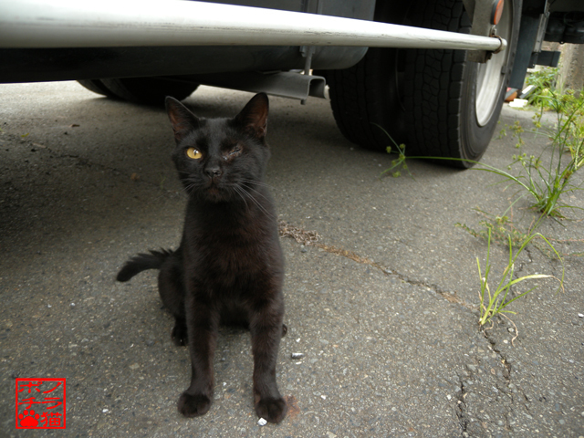 DSCN9344.jpg