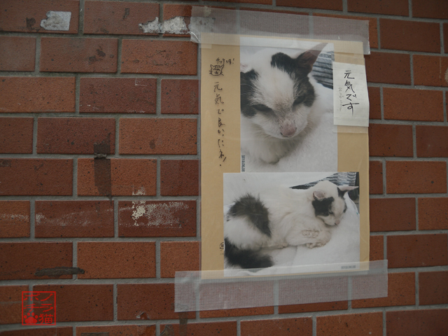 DSCN9349.jpg