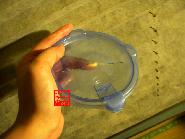 DSCN9350.jpg