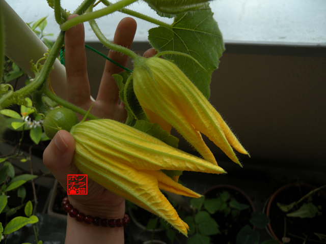 DSCN9360.jpg