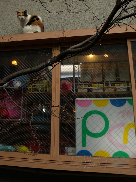 DSCN9362.jpg