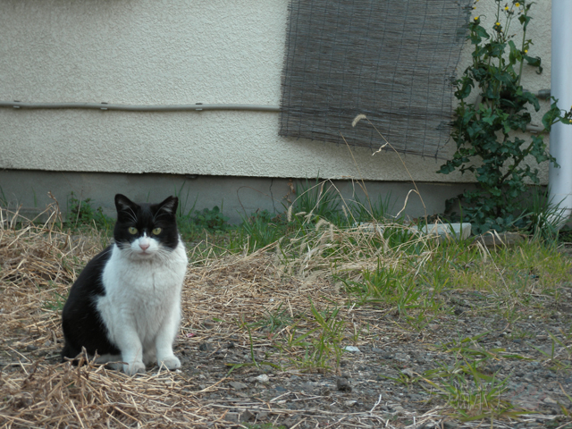 DSCN9377.jpg
