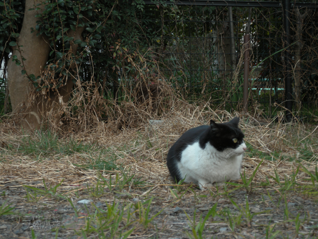 DSCN9380.jpg
