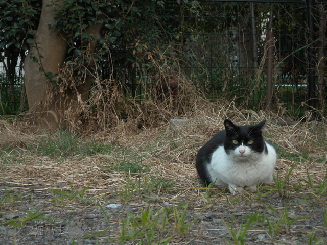 DSCN9382.jpg
