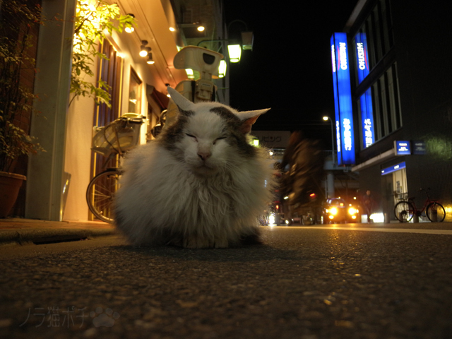 DSCN9390.jpg