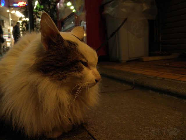 DSCN9391.jpg