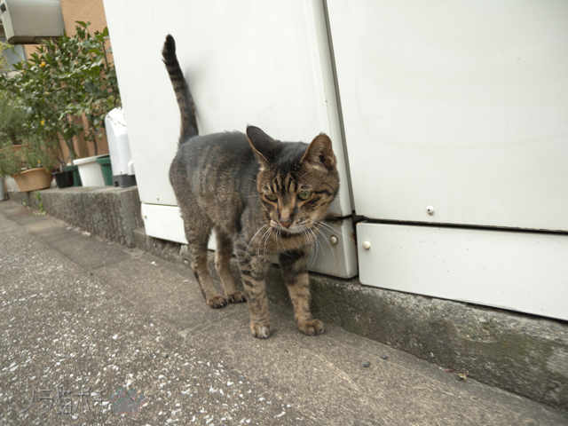 DSCN9403.jpg
